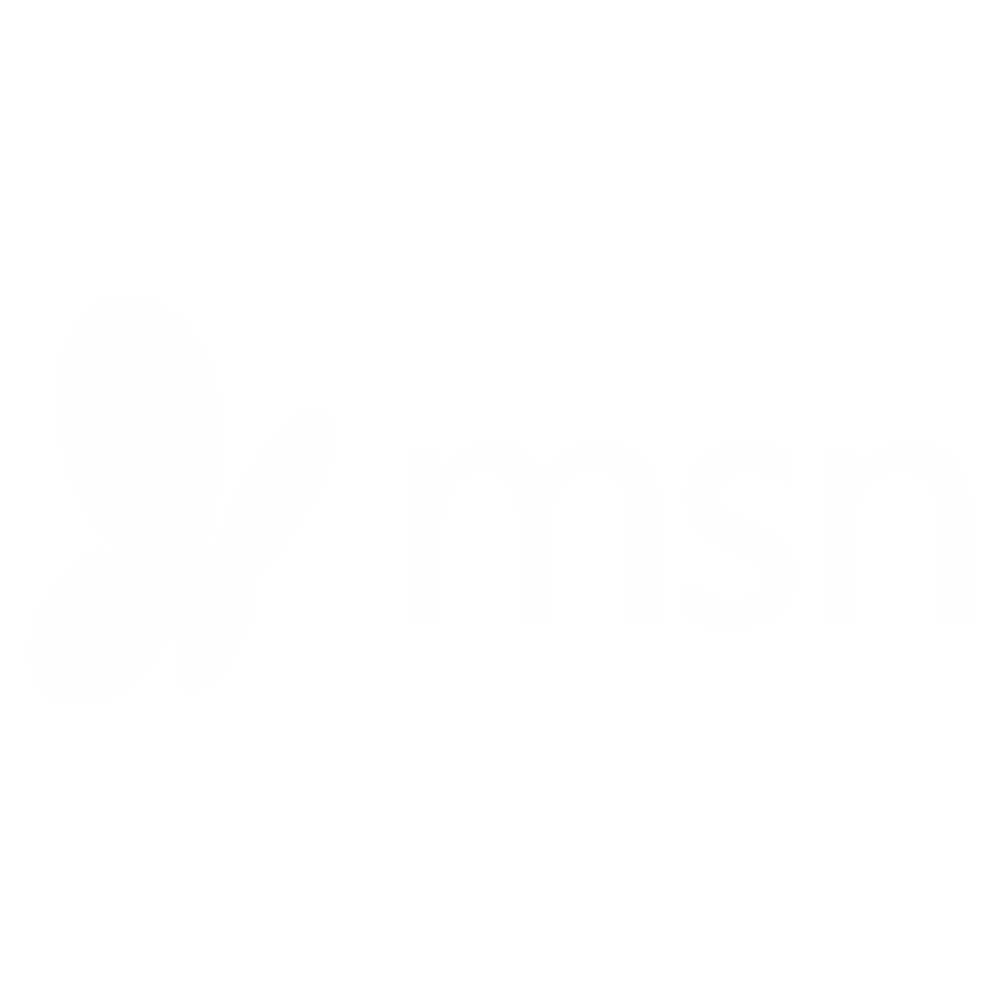 MSN Logo and highlight article
