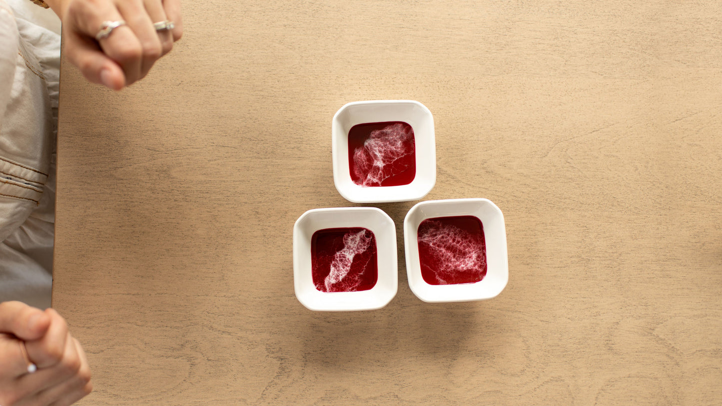 NEW!!! Winter Berry and Evergreen Holiday Collection